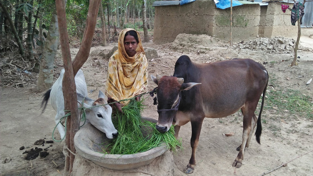 Candle Making by A Mother of The Sreepur Village